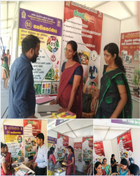 Glocal Fair 2024” kilinochchi District
